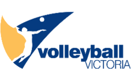 VV logo